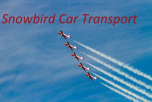 You are currently viewing 4 Important Things Snowbirds Should Know about Car Shipping