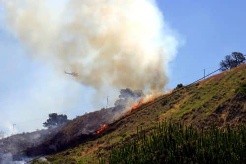 Brush Fire Erupted in Elysian Park: Southern California Areas Under Threat